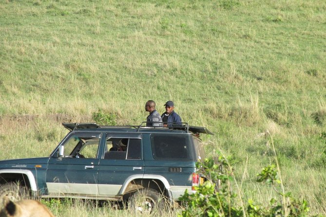 3 days Masai Mara - Wildlife, Logistics, And Why Private Time Matters