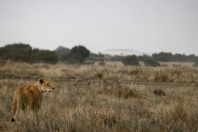 3 Days Masai Mara Budget Cruiser Shared Safari & Maasai Village - Price and Park Fees: When This Trip Is a Deal, and When It Gets More Expensive