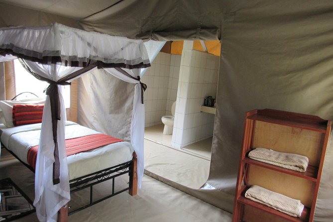 3 Days Masai Mara Budget Safari - Day 2 Full-Day Game Viewing, Picnic Lunch, and the Bird List