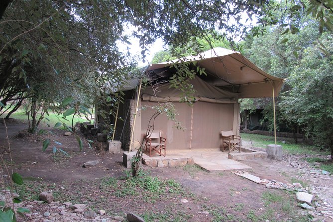 3 Days Masai Mara Budget Safari - Who This Safari Fits Best (and Who Should Rethink It)