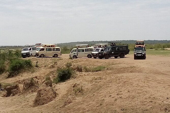 3 Days Masai Mara Budget safari Meals and accommodation included - Optional Masai Village Visit for $20: A Culture Stop Worth If You Want It