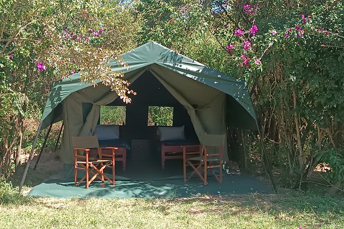 3 Days Masai Mara Camping Safari - Day Three: A Leisurely Morning, Then Back to Nairobi