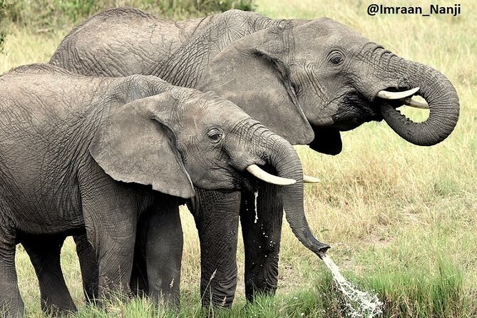 3 Days Masai Mara Camping Safari - Should You Book This Masai Mara Camping Safari?