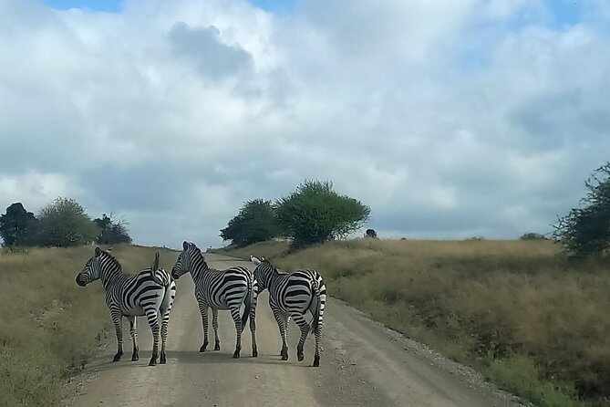 3 Days Masai Mara Experience - What the Tour Does Well for First-Timers