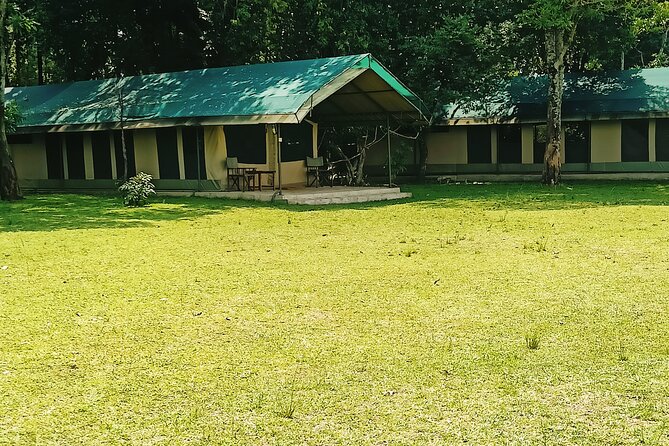 3 Days Masai Mara Flight Safari - Camps, comfort, and why the right guide changes everything