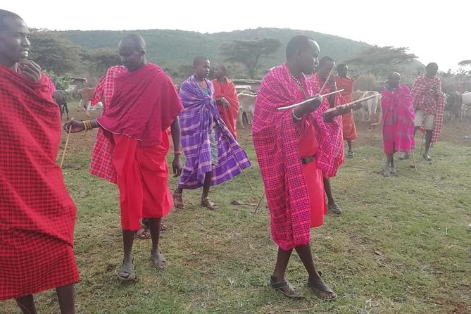 3 Days Masai Mara Joining Safari (lenchada) - Day 2: Full-Day Game Drives, Picnic Lunch, and the Balloon Option