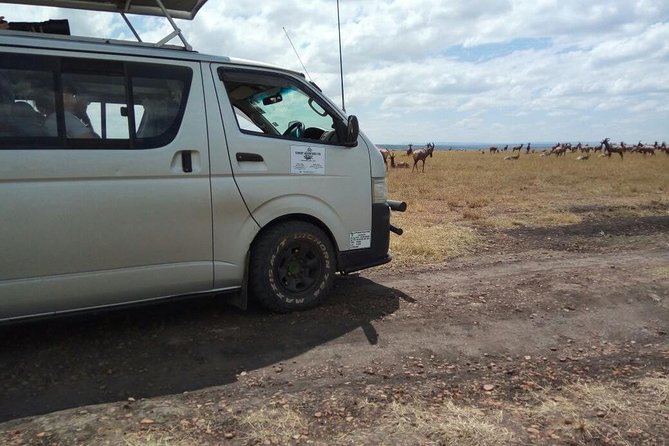 3 Days Masai Mara Joining Safari (lenchada) - Price and Logistics: What the USD 578 Is Actually Buying You
