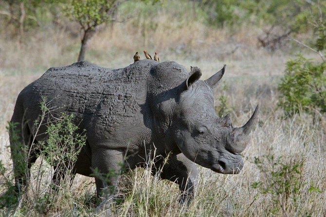 3 Days Masai Mara Joining Tour - Key things to know before you go