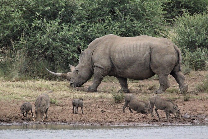 3 Days Masai Mara Joining Tour - Why a 3-day joining safari in Maasai Mara is such a smart value