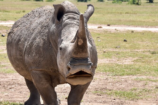 3 Days Masai Mara Luxury Safari - Day 1: Nairobi to Masai Mara With Rift Valley Stops and a Prime First Drive