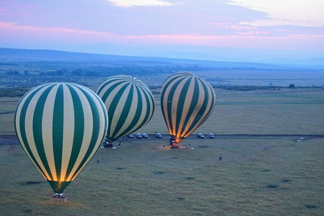 3 Days Masai Mara National Reserve Safari - Day 2: Early departure, picnic lunches, and Mara River wildlife time