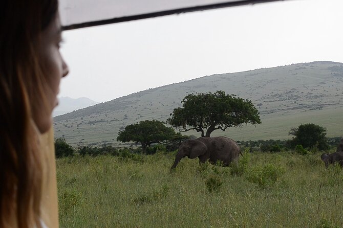 3 days Masai Mara on Private 4x4 Land Cruiser - Day 3: one last early game drive and the ride back to Nairobi