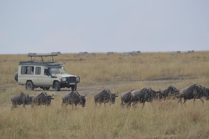 3-Days Masai Mara Rhythms Safari - Nairobi to Maasai Mara, the road trip that sets the tone
