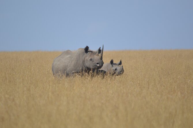3-Days Masai Mara Rhythms Safari - Price and value, what $1,400 per person is really buying