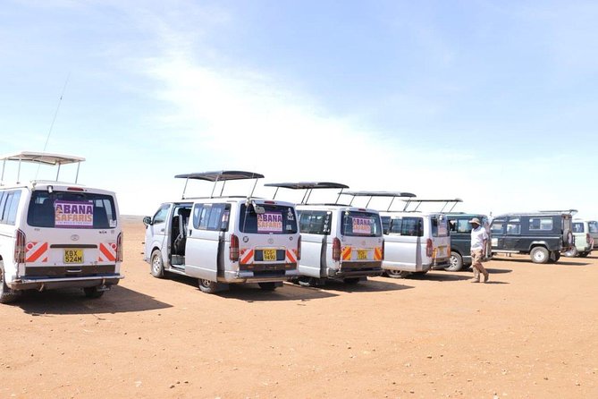 3 Days Masai Mara Safari - Day 2 in the Masai Mara reserve, Big Five searching plus Maasai culture