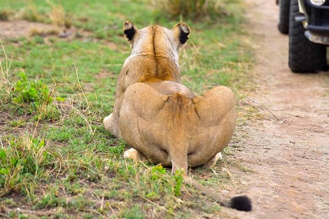 3 Days Masai Mara Safari - What kind of traveler this Abana Safaris safari fits best