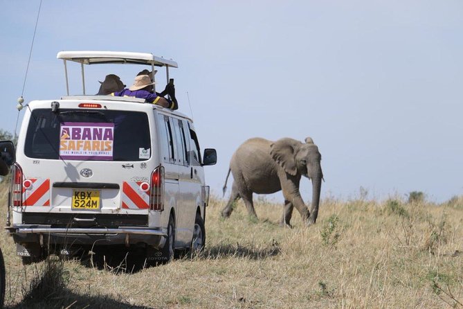 3 Days Masai Mara Safari - Day 1 at the Mara River, your first real look at migration energy
