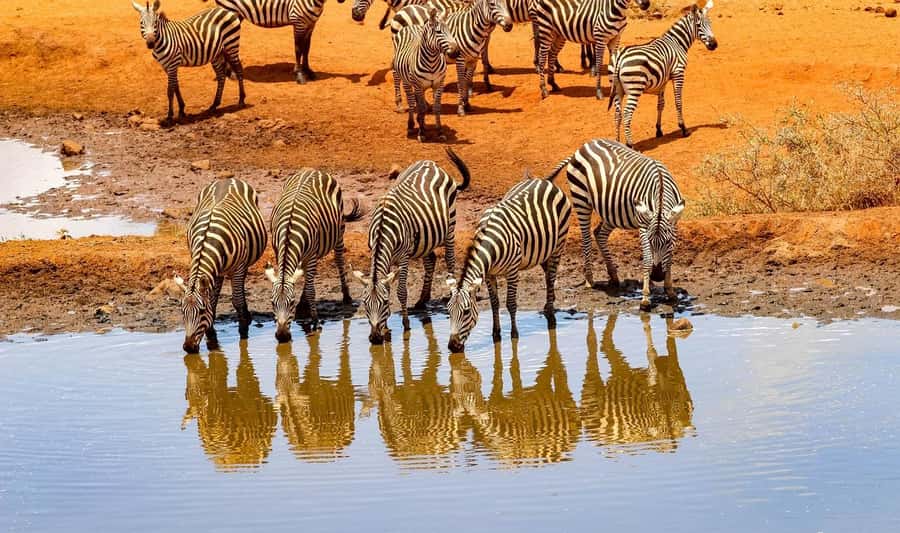 3 Days Nairobi to Amboseli to Tsavo East to Mombasa Safari - Nyati Safari Camp Night: What You’re Really Buying With Overnight Lodging