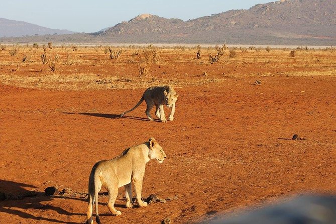 3 days Red elephant safari - Key points worth knowing before you go