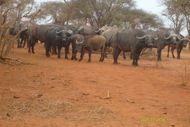 3 days Red elephant safari - Who this safari fits best, and who should consider another option