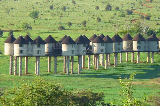 3 days safari Tsavo East and Taita hills (Saltlick lodge) - Key Highlights You’ll Notice Fast