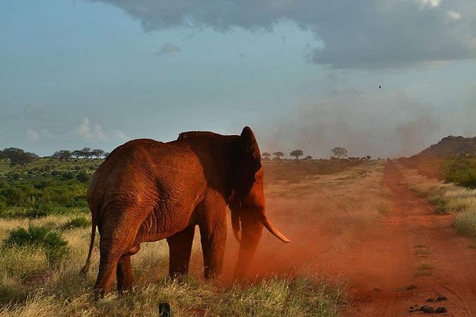 3 days safari Tsavo East and Taita hills (Saltlick lodge) - Day Two: Breakfast, a 10 am Cutoff, Then the Taita Hills Shift