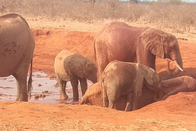 3 days safari Tsavo East and West - Why this Tsavo East and West route makes sense in 3 days