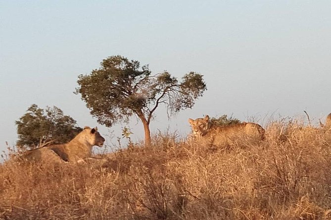 3 days safari Tsavo East and West - Lodges, rest, and why Voi Safari Lodge and Ngulia Safari Lodge fit this schedule