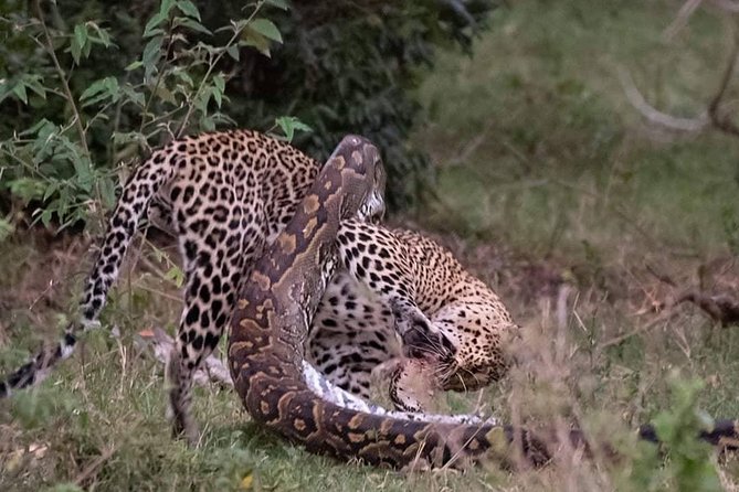 3 Days to Maasai Mara N/R. - Key things that make this Maasai Mara safari worth your time
