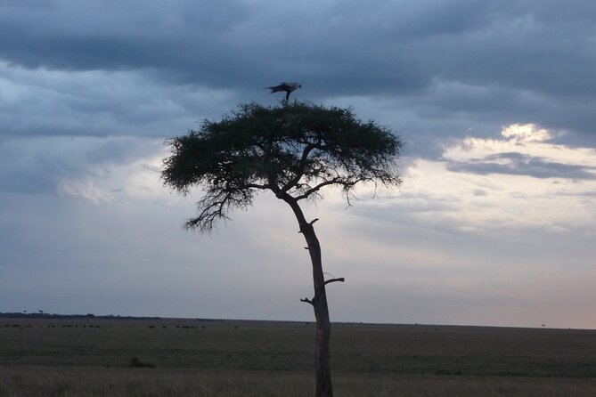 3 Days to Maasai Mara N/R. - First stop: Nairobi departure and the Great Rift Valley viewpoint