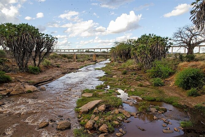 3 Days Tsavo East & Amboseli (2 Nights) - Day 2 in Amboseli National Park, 06:30 breakfast, 16:00 game drive, and Kilimanjaro in frame