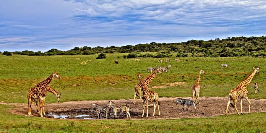 3 days Tsavo East and Saltlick safari from Diani/Mombasa - Tsavo East and Taita Hills from Diani or Mombasa, the big-game combo