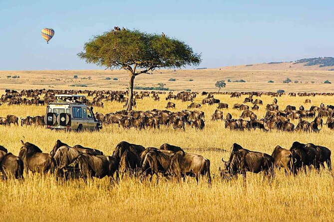 3 Days Unforgettable Masai Mara Safari Tour - Why a three-day Masai Mara safari hits the sweet spot