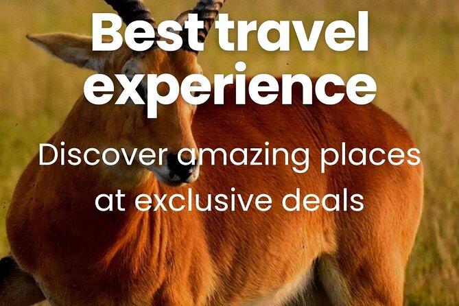 3 Days Unforgettable Masai Mara Safari Tour - Price and value at $750, what is included, and what to plan for