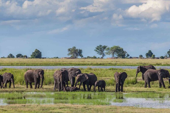 3 Days Unforgettable Masai Mara Safari Tour - Nairobi pickup and the Great Rift Valley ride