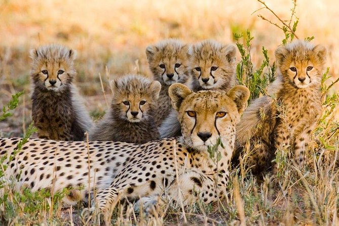 3 nights exclusive Masai Mara safari - Day 1 in Nairobi: Rift Valley first, safari later