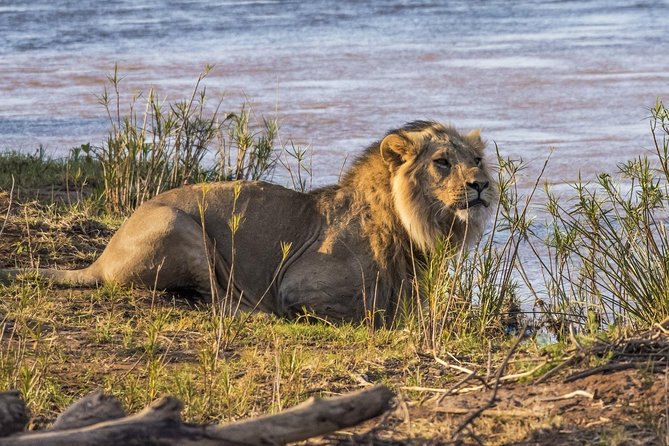 3 nights exclusive Masai Mara safari - Day 4 back to Nairobi after breakfast