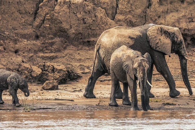 3 nights exclusive Masai Mara safari - Day 2 in the reserve: crossing points and the big wildlife beats