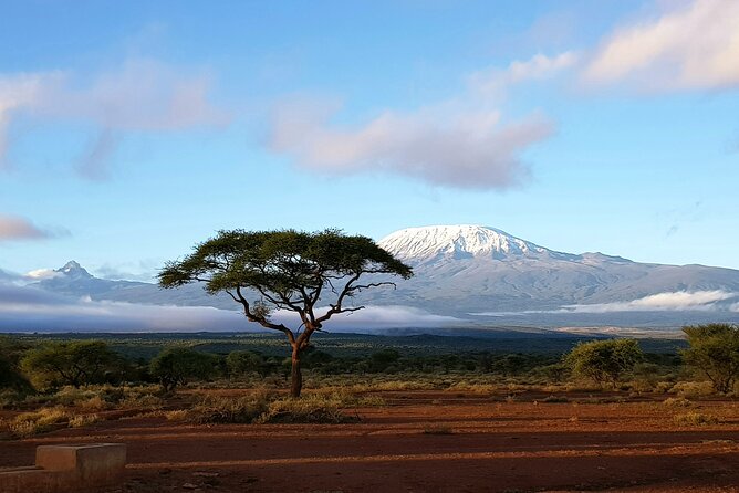 3day Amboseli Park Private safari - Why Amboseli works so well for a short 3-day safari