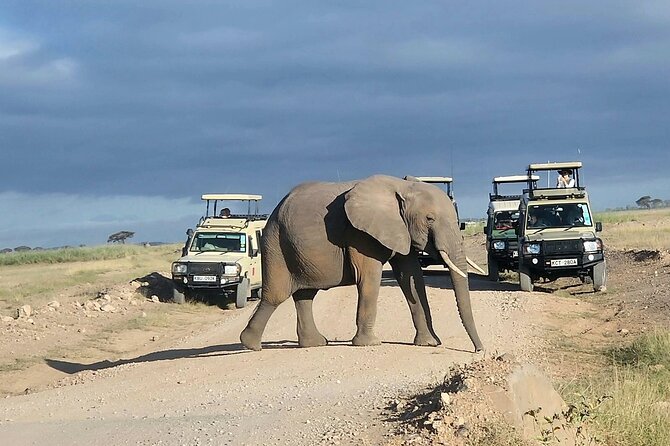 3day Amboseli Park Private safari - Day 2 Observation Hill: the long, active wildlife day