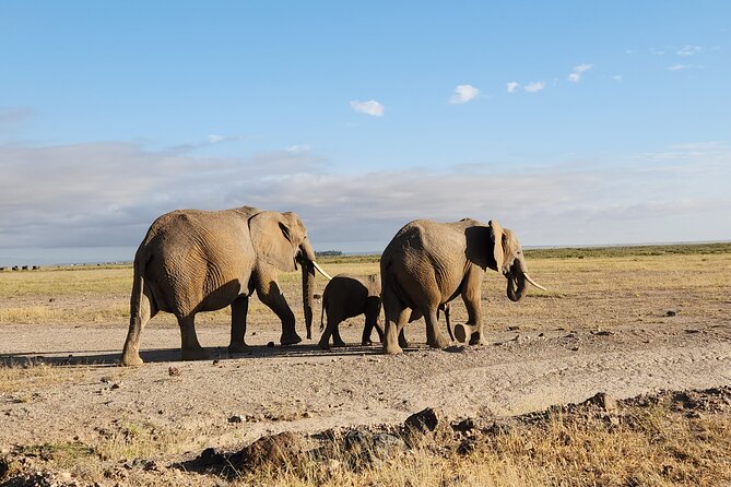 3day Amboseli Park Private safari - What you’re really paying for: price, inclusions, and value