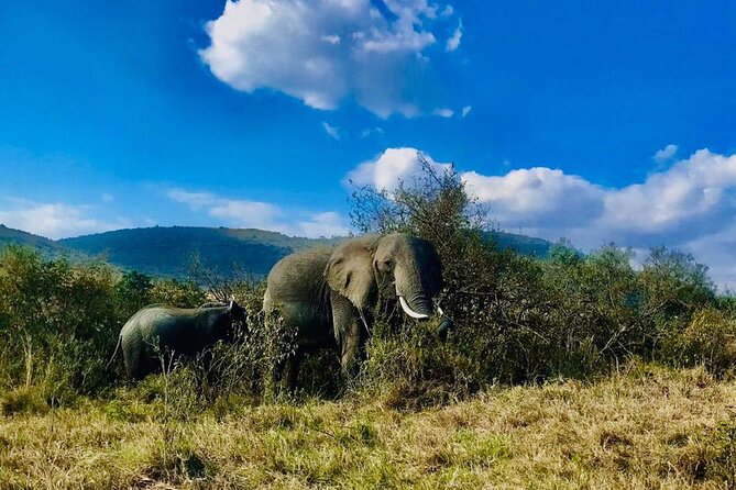 3days/2nights group joining Masai Mara with Masai Village Visit - What You Actually Get for the Price, $256 Per Person