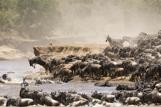 3days/2nights group joining Masai Mara with Masai Village Visit - Comfort, Food, and What the Reviews Emphasize