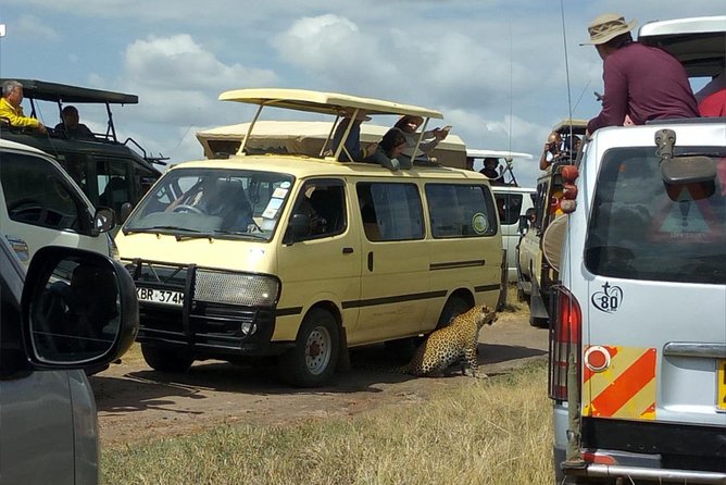 3days/2nights group joining Masai Mara with Masai Village Visit - Who This Safari Fits Best (and Who Might Want Something Else)