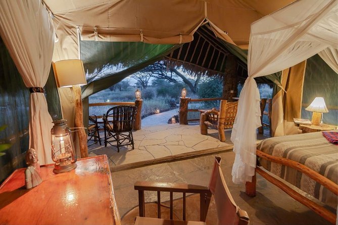 3days masai mara best of lodge safari - Day 2: full-day game drive, Hippo Pool picnic, then back to the lodge