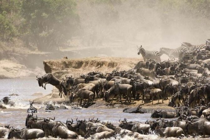 4-Day Group Safari to Maasai Mara & Lake Nakuru- 4 x 4 jeep - Day 1: Rift Valley Viewpoints and Your First Maasai Mara Game Drive
