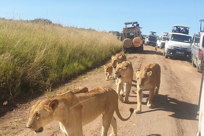 4 Day Group Tour to Maasai Mara and Lake Nakuru by a 4WD Cruiser - Day 2 full-day Mara game drives, picnic lunches, and the Big Five push