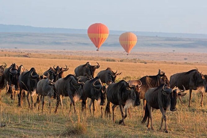 4 Day Group Tour to Maasai Mara and Lake Nakuru by a 4WD Cruiser - Day 3 road to Nakuru: Naivasha option and another Maasai encounter