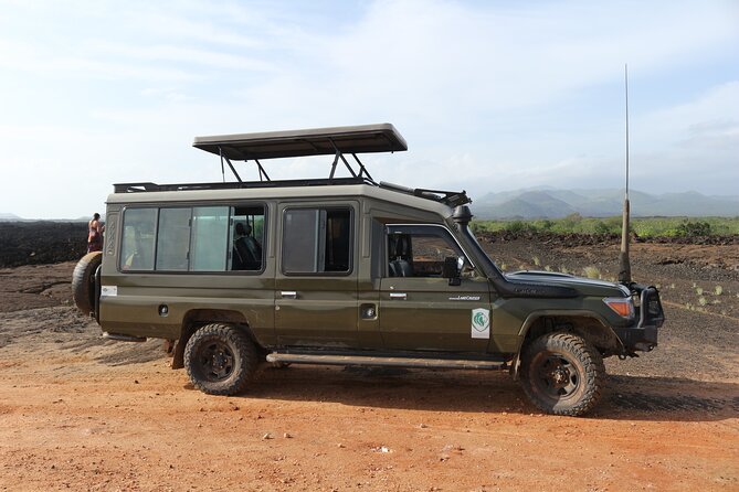 4-Day Maasai Mara and Lake Nakuru Safari from Nairobi - Game drive on Day 4, flamingos again, and your return to Nairobi