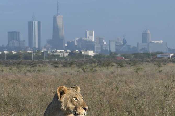 4-Day Masai Mara and Lake Nakuru safari from Nairobi. - Olpopongi and Maasai village visits, optional but worth planning